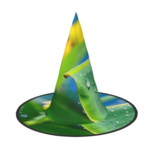 Anceky Bananenblatt-Gründruck, Halloween-Hüte, Partys, Weihnachts-Make-up, Rollenspiel-Zubehör Anceky Bananenblatt-Gründruck, Halloween-Hüte, Partys, Weihnachts-Make-up, Rollenspiel-Zubehör von Anceky