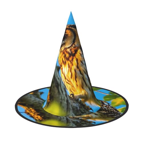 Anceky Lustige Halloween-Hüte mit Eulen-Print, Partys, Weihnachts-Make-up, Rollenspiel-Zubehör von Anceky