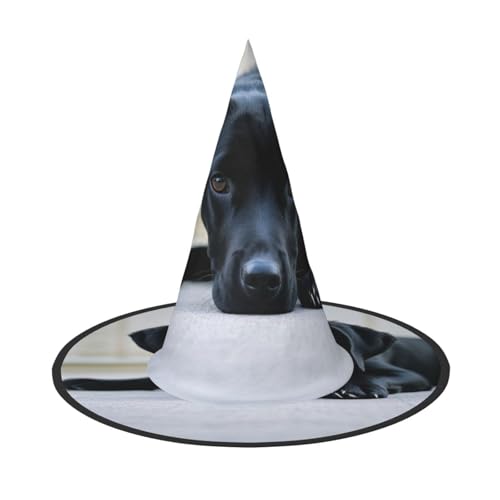 Anceky Niedliche Halloween-Hüte mit schwarzem Hunde-Print, Partys, Weihnachts-Make-up, Rollenspiel-Accessoires von Anceky