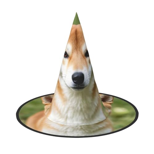 Anceky Niedliche Shiba Inu-Hunde-Print-Halloween-Hüte, Partys, Weihnachts-Make-up, Rollenspiel-Zubehör von Anceky