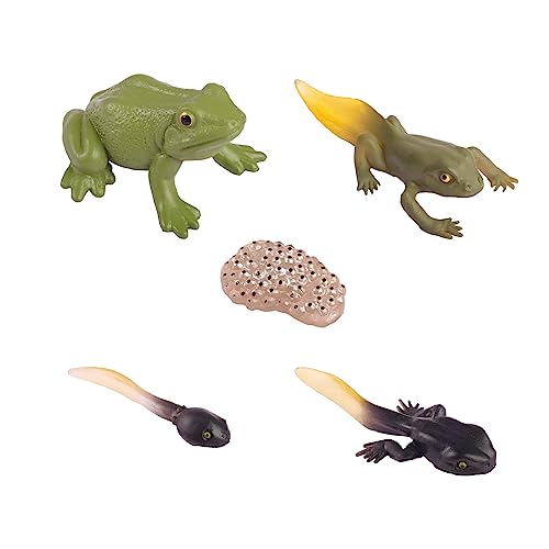 Andux Realistische Plastiktiere Figuren Spielzeug Zoo Wild Dschungel Lernen Lernspielzeug FZDW-01 (Frosch-5Stück) von Andux