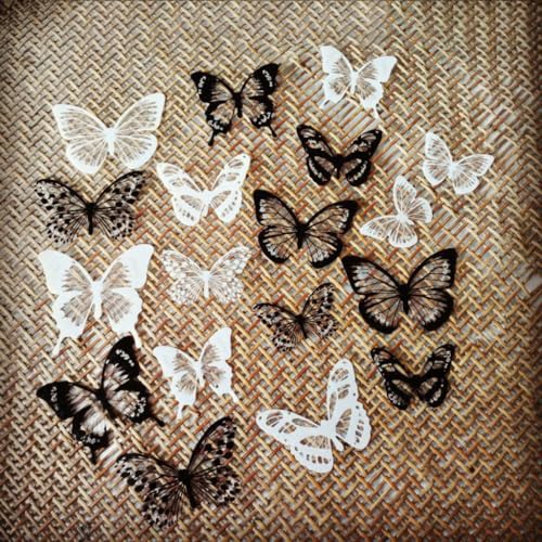 24 Stück Schmetterlinge Torten Deko, Schmetterlinge Deko Torte, Tortendeko Schmetterling Topper, Tortendeko Schmetterlingsform für Hochzeitstorte, Geburtstag, Party,Schwarz+Weiß 24 Stück Schmetterlinge Torten Deko, Schmetterlinge Deko Torte, Tortendeko Schmetterling Topper, Tortendeko Schmetterlingsform für Hochzeitstorte, Geburtstag, Party,Schwarz+Weiß von Anevous