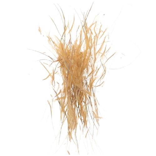 Angoily 1 Schachtel Miniature Craft Plants für Modelleisenbahn Dioramen Realistische Nachbildung von Weizen für Kreative Szenen und Dekoration Angoily 1 Schachtel Miniature Craft Plants für Modelleisenbahn Dioramen Realistische Nachbildung von Weizen für Kreative Szenen und Dekoration von Angoily