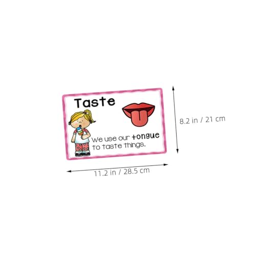 Angoily 2 Sätze Lernposter Frühförderung Flashcards für Kleinkinder Kognitive Entwicklung Vorschule Lernkarten Vielseitig Einsetzbar Dekorativ für Zuhause und Klassenzimmer von Angoily