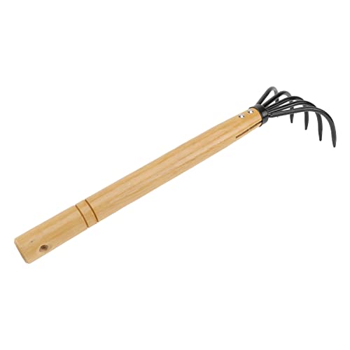 Angoily Werkzeug Gartenhand n Krallenrechen Karbonstahl Rechene Japanisch 5 Krallenrechen Laubsammlung Rechen Für Die Gartenarbeit Lösen Oder Jäten Schwarz Garten Laubrechen Angoily Werkzeug Gartenhand n Krallenrechen Karbonstahl Rechene Japanisch 5 Krallenrechen Laubsammlung Rechen Für Die Gartenarbeit Lösen Oder Jäten Schwarz Garten Laubrechen von Angoily