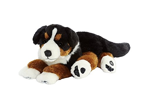 Anima Berner Sennenhund 42 CML Anima Berner Sennenhund 42 CML von Anima