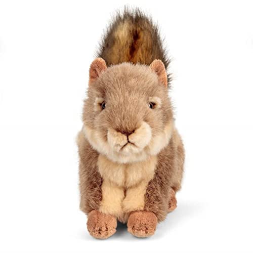 Animigos Plüschtier Eichhörnchen, Stofftier im realistischen Design, kuschelig weich, ca. 22 cm groß von Tobar