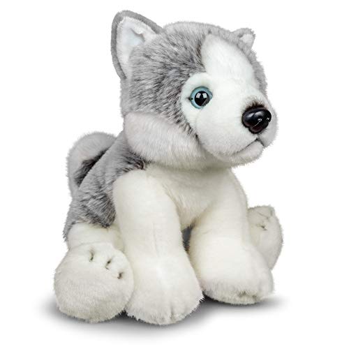 Animigos Plüschtier Husky, Stofftier im realistischen Design, kuschelig weich, ca. 23 cm groß Animigos Plüschtier Husky, Stofftier im realistischen Design, kuschelig weich, ca. 23 cm groß von Animigos