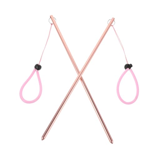 Anneome 2 Stück Taucherstab aus Aluminiumlegierung mit Handschlaufe Robuster Leichter Tauchstab für Unterwassererkundung und Kommunikation Farbiger Tragbarer Scuba Pointer für Sporttaucher von Anneome