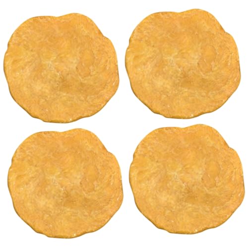 Anneome 4 Stück Geldwanzen- fossilien agypten fogelschreker decor Nummuliten mockin Tischschmuck modell pädagogisches Schüler unterrichten Kinderspielzeug Orange von Anneome