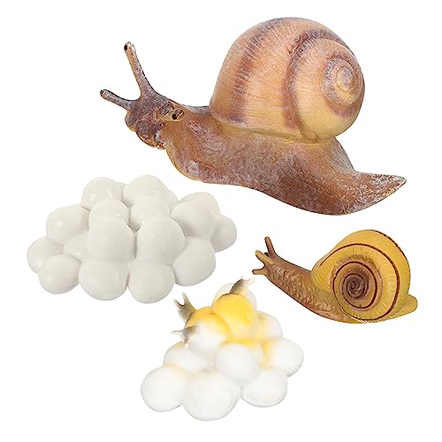 Anneome Lernspielzeug Schneckenmodell Set aus Hochwertigem Realistische Schneckenfiguren für Frühe Bildung Fördert Naturverständnis und Wachstumskreislauf Teiliges Set Zufälliger Stil von Anneome