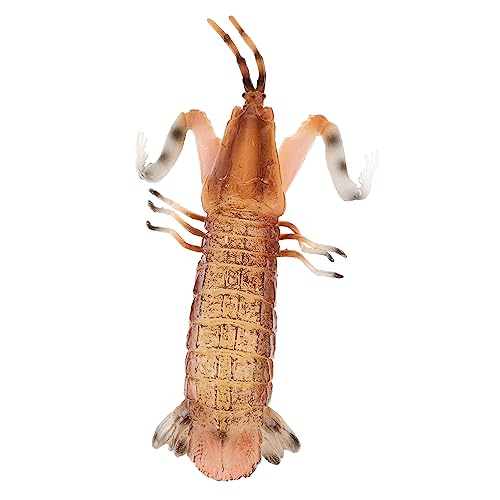 Anneome Lernspielzeug Tiermodell Mantis Shrimp aus Niedliches Sensorisches für Mädchen Tragbares Pädagogisches Dekoratives Kinderzubehör Kreatives und Sammlerstück Anneome Lernspielzeug Tiermodell Mantis Shrimp aus Niedliches Sensorisches für Mädchen Tragbares Pädagogisches Dekoratives Kinderzubehör Kreatives und Sammlerstück von Anneome