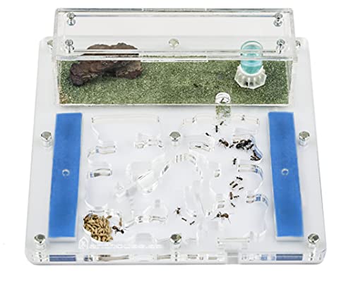 Ant Farm Educational Kit (Free Ants with Queen) von AntHouse