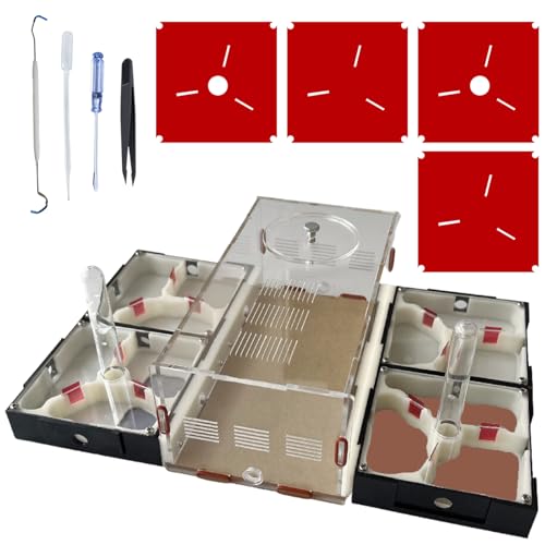 Ants Footsteps Ameisenfarm Nest Wissenschaft DIY Terrarium Kit Pflege für lebende Ameisen Ameisen Lebensraum mit Wasserturm Pflegeraum und umfassendem Beobachtungsset 5 Ants Footsteps Ameisenfarm Nest Wissenschaft DIY Terrarium Kit Pflege für lebende Ameisen Ameisen Lebensraum mit Wasserturm Pflegeraum und umfassendem Beobachtungsset 5 von Ants Footsteps