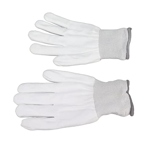 Aoaoy Skelett -LED Leuchtende Leuchten, Tanzen Sie mit 3 Farben für Halloween -Weihnachtsfeier (M) von Aoaoy