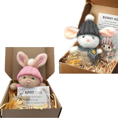 Aosrioylt Mini Bunny Hug Cute Easter Gift, Handmade Plush Pocket Hug Rabbit Doll, 2025 New Emotional Support Positive Crochet Cute Bunny, Gift for Family Friend Loved Ones with Gift Box & Card(A+d) von Aosrioylt
