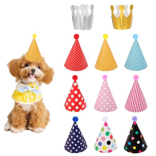 11 Stück Partyhüte Geburtstag Set,Partyhüte zum Geburtstag,Bunte Party Kegel Hüte,9 Partyhut mit Pompoms & 2 Geburtstag Krone,Geburtstagshut für Kinder Erwachsene Geburtstag Festival Deko Foto Prop von Apausvcm