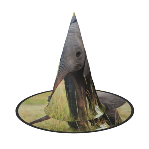 Apbdffjnf Baby-Elefanten-Druck, Halloween-Hexenhut, spitzer Hexenhut, Kostümzubehör für Halloween-Party-Dekoration Apbdffjnf Baby-Elefanten-Druck, Halloween-Hexenhut, spitzer Hexenhut, Kostümzubehör für Halloween-Party-Dekoration von Apbdffjnf