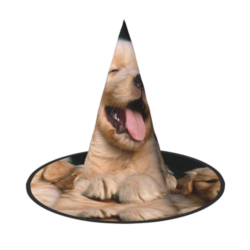 Apbdffjnf Golden Retriever Hunde Welpen Haustiere Druck Halloween Hexenhut Spitzer Hexenhut Kostüm Zubehör für Halloween Party Dekoration von Apbdffjnf