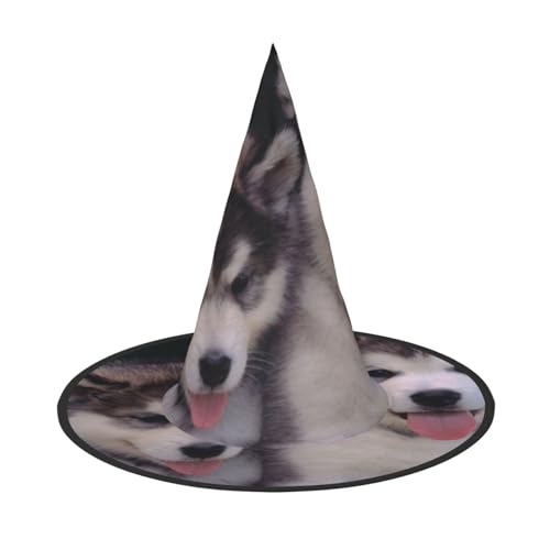 Apbdffjnf Halloween-Hexenhut mit Hundeaufdruck, spitzer Hexenhut, Kostümzubehör für Halloween-Party-Dekoration Apbdffjnf Halloween-Hexenhut mit Hundeaufdruck, spitzer Hexenhut, Kostümzubehör für Halloween-Party-Dekoration von Apbdffjnf