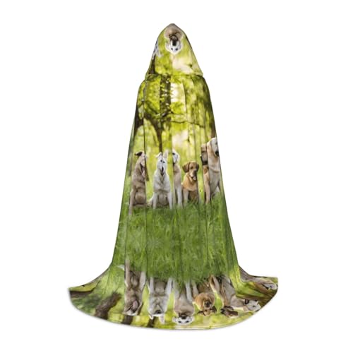 Kapuzenumhang für Teenager, Kostümparty, Halloween, weich und elastisch, Größe S Kapuzenumhang für Teenager, Kostümparty, Halloween, weich und elastisch, Größe S von Apbdffjnf