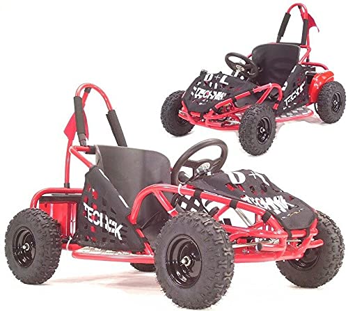 Elektro Buggy Kinder 1000W Quad Miniquad 48V ATV Kinderquad 55940 AWZ Gokart Crosskart Kinderkart Kinderbuggy Kinderfahrzeug von Apex