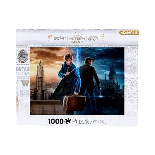 Aquarius 65455 Harry Potter Zauberwelt 1000 Teile Puzzle, Mehrfarbig von AQUARIUS