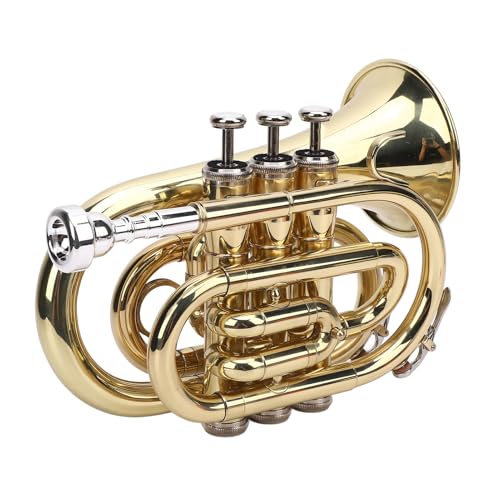Aramox Kompaktes BB -Taschen -Trompeten Kit mit 7C Mundstück, Komfortables Spielerlebnis, Weiße, Gold von Aramox
