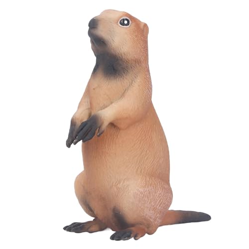 Groundhog Statue Lifelike Wild Animal Skulptur Modell für Kinderausbildung, Heimdekoration, Plastikmaterial (PL127-1010) von Aramox