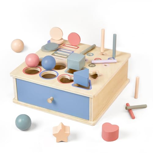 Arbolisse Montessori Spielzeug ab 1 2 3 Jahr, Holzspielzeug Kinder Farbe Sortierspiel Baby Spielzeug 1 Jahr Kinderspielzeug ab 1-3 Jahre Geschenk Mädchen Jungen Motorikspielzeug Lernspiele ab 1 Jahr von Arbolisse