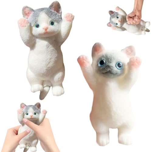 2 Stück Squishy Katze, Realistische Katze Anti Stress Spielzeug, Tragbare Squishy Cat, Niedlich Stress Spielzeug für Kinder ab 6 Jahren, 13x7cm von Areiknim