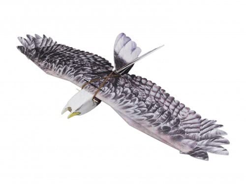 Adler Kit 1430 mm Spannweite von Arkai