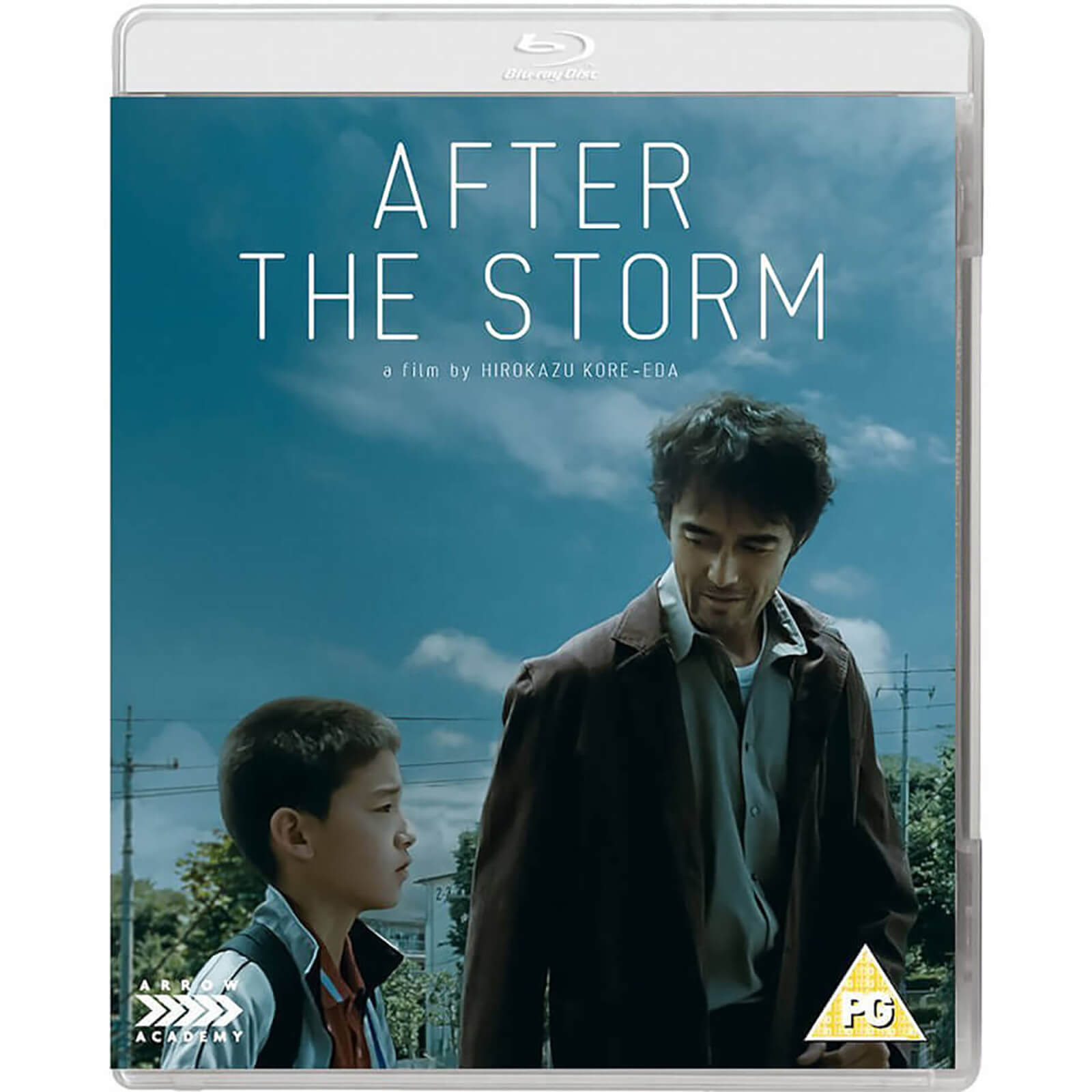 Nach dem Sturm von Arrow Academy