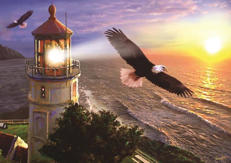 Art Puzzle Höhenflug bei Sonnenaufgang 1000 Teile Puzzle Art-Puzzle-4221 von Art Puzzle
