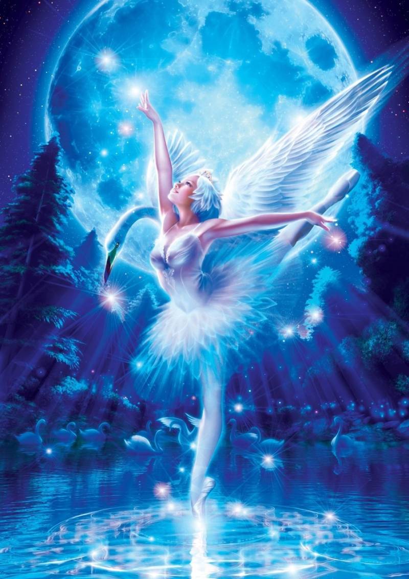 Art Puzzle Schwanensee-Ballett 1000 Teile Puzzle Art-Puzzle-5214 von Art Puzzle