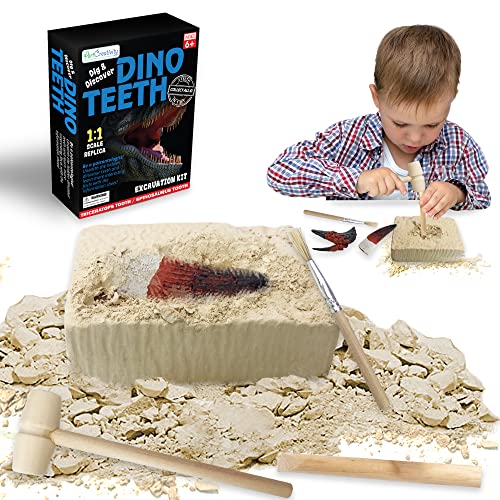 ArtCreativity Dino Teeth Dig and Discover Excavation Kit for Kids, Includes Triceratops and Spinosaurus Toy Fossil Teeth with 2 Digging Tools, Interactive Dinosaurier Gifts for Boys and Girls ArtCreativity Dino Teeth Dig and Discover Excavation Kit for Kids, Includes Triceratops and Spinosaurus Toy Fossil Teeth with 2 Digging Tools, Interactive Dinosaurier Gifts for Boys and Girls von ArtCreativity