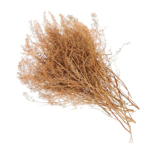 ARTIBETTER 1 Schachtel Dorniges Quinoa -Modellmaterial Simulation Grasmodell lebensechte Kunstrasenpflanzen Kunstrasen-Modelldekor Modelleisenbahn Sandtisch realistisches Holz ARTIBETTER 1 Schachtel Dorniges Quinoa -Modellmaterial Simulation Grasmodell lebensechte Kunstrasenpflanzen Kunstrasen-Modelldekor Modelleisenbahn Sandtisch realistisches Holz von Artibetter