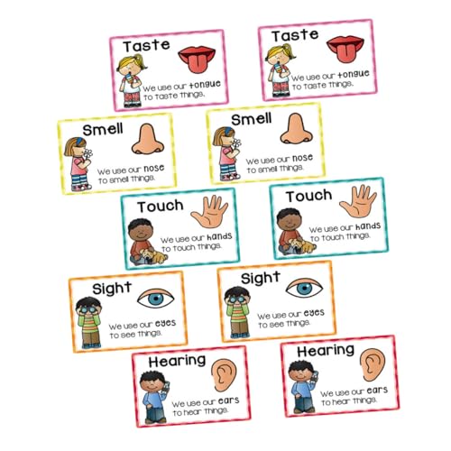 ARTIBETTER 2 Sätze Frühkindliche Kartenset für Vorschule mit Bunter Bild Wort Zuordnung Sensorische Entwicklung und Kognitive für Kindergarten und Gruppenaktivitäten ARTIBETTER 2 Sätze Frühkindliche Kartenset für Vorschule mit Bunter Bild Wort Zuordnung Sensorische Entwicklung und Kognitive für Kindergarten und Gruppenaktivitäten von Artibetter