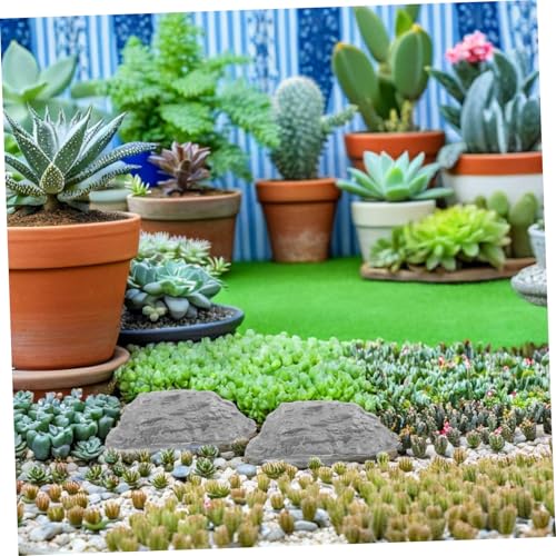 ARTIBETTER 50 Stück Diorama Steine Realistische Landschaftsfelsen aus Robustem Kunststoff für Sandtisch Terrarium Dekorative Miniatur Zugkulisse ARTIBETTER 50 Stück Diorama Steine Realistische Landschaftsfelsen aus Robustem Kunststoff für Sandtisch Terrarium Dekorative Miniatur Zugkulisse von Artibetter