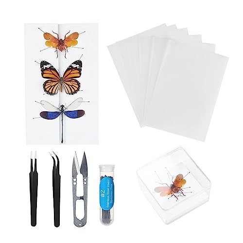 Herstellung von Insektenproben Werkzeug Kit, Insektenstiften, Insektenstiften Brett, Flügel Presspapier, Pinzette, Schere, Insekt Vitrine, Insektensammlung für Bug Hobbyist/Biologie Projekte Herstellung von Insektenproben Werkzeug Kit, Insektenstiften, Insektenstiften Brett, Flügel Presspapier, Pinzette, Schere, Insekt Vitrine, Insektensammlung für Bug Hobbyist/Biologie Projekte von Asablve