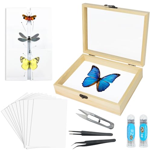 Herstellung von Insektenproben Werkzeug-Set, (Insektennadeln, Insektenschattenbox, Insekten-Pinnbrett, Flügelpresspapier, Pinzette, Schere), Insektenproben-Sammeldisplay für Käfer, von Asablve