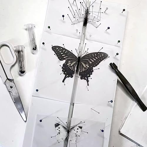 Insekten-Pinnbrett, Eva-Schaumbrett Pose Insekten Brett Schmetterling ausbreitende Flügel, kombinierte Platten, Insektenprobenwerkzeuge für Insektensammlung (1 Packung) von Asablve