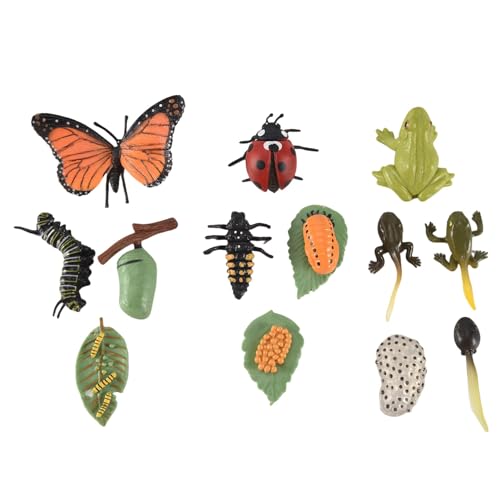 Asinfter 3 SäTze Insekten Figuren Lebens Zyklus Von Schmetterlings Marien Safariologie Wachstums Zyklus Modell Bildung Spielzeug von Asinfter
