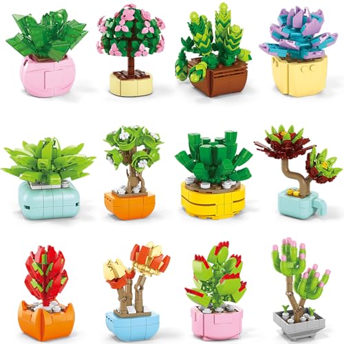 Asoulin Geschenke für Kinder – 24 Packungen Sukkulenten Bausteine mit Karten Osterkorb Stuffers für Kinder Jungen Mädchen Ostern Party Favors Supplies Künstliches botanisches Spielzeug Klasse Preise Asoulin Geschenke für Kinder – 24 Packungen Sukkulenten Bausteine mit Karten Osterkorb Stuffers für Kinder Jungen Mädchen Ostern Party Favors Supplies Künstliches botanisches Spielzeug Klasse Preise von Asoulin