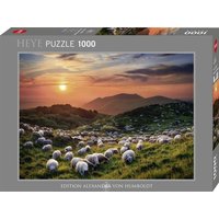 Heye - Sheep and Volcanoes Heye - Sheep and Volcanoes von Athesia