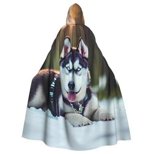 Aubnva Leichter und atmungsaktiver Unisex-Umhang mit Husky-Hundemotiv, für Halloween, Cosplay, volle Länge, mit Kapuze von Aubnva