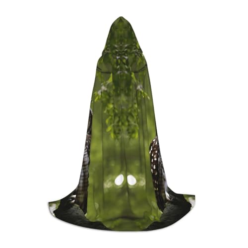 Aubnva Unisex Kapuzenumhang mit Eulen-Motiv und Baumzweigen, verschiedene Designs, Halloween, Cosplay, Karneval, bequem, stilvoll von Aubnva