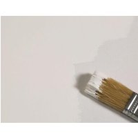 AUHAGEN 78102 Modellbaufarbe reinweiß Füllmenge: 100 ml von Auhagen