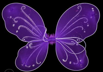 Aunaeyw Butterfly Wings Fairy Angel for Adult Kid，Halloween Costume Multicolor Fairy Wing Birthday Party Dress Up (Purple, One Size) von Aunaeyw