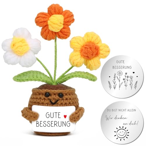 Aurasky Gehäkelte Blumen, Gute Besserung Blume, Pocket Hug Deutsch mit Umarmung Glücksbringer, Gestrickte Blumenpuppe, Mutmacher Geschenk für Freund Familie Kollegen Aurasky Gehäkelte Blumen, Gute Besserung Blume, Pocket Hug Deutsch mit Umarmung Glücksbringer, Gestrickte Blumenpuppe, Mutmacher Geschenk für Freund Familie Kollegen von Aurasky